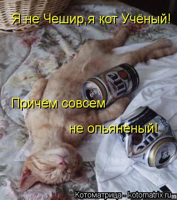 Я не Чешир,я кот Учёный! Причём совсем не опьянёный! Я не Чешир,я кот Учёный! Причём совсем не опья... Котоматрица: Я не Чешир,я кот Учёный! Причём совсем не опьянёный! Я не Чешир,я кот Учёный! Причём совсем не опьянёный!