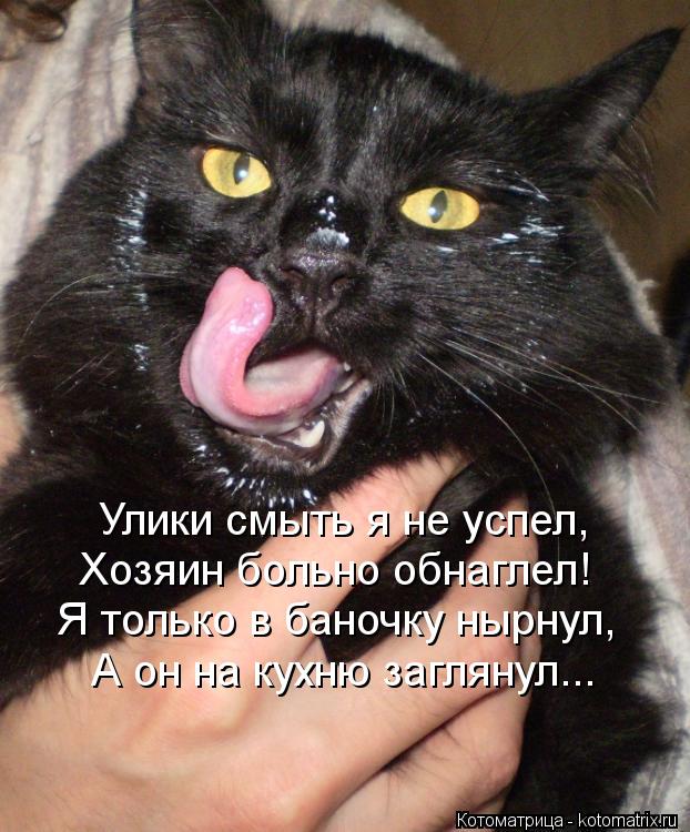 Улики смыть я не успел, Хозяин больно обнаглел! Я только в баночку нырнул, А он на кухню заглянул...... Котоматрица: Улики смыть я не успел, Хозяин больно обнаглел! Я только в баночку нырнул, А он на кухню заглянул...