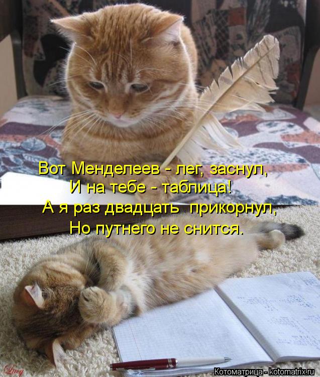 Вот Менделеев - лег, заснул, И на тебе - таблица! А я раз двадцать прикорнул, Но путнего не снится.... Котоматрица: Вот Менделеев - лег, заснул, И на тебе - таблица! А я раз двадцать прикорнул, Но путнего не снится.