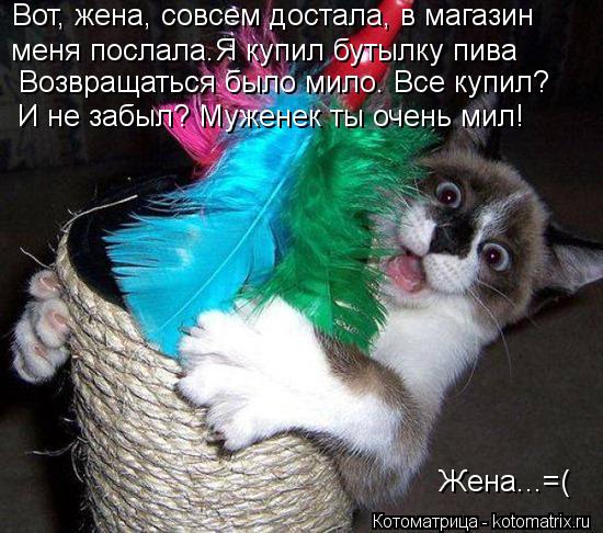 Вот, жена, совсем достала, в магазин меня послала.Я купил бутылку пива Возвращаться было мило. Все к... Котоматрица: Вот, жена, совсем достала, в магазин меня послала.Я купил бутылку пива Возвращаться было мило. Все купил? И не забыл? Муженек ты очень мил! Ж