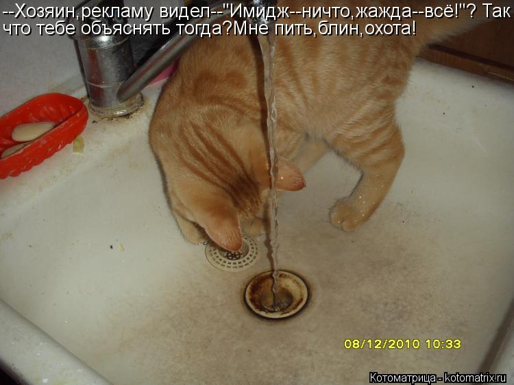 Котоматрица: --Хозяин,рекламу видел--"Имидж--ничто,жажда--всё!"? Так что тебе объяснять тогда?Мне пить,блин,охота!