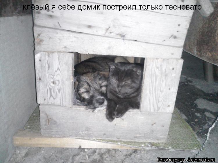 клёвый я себе домик построил только тесновато... Котоматрица: клёвый я себе домик построил только тесновато