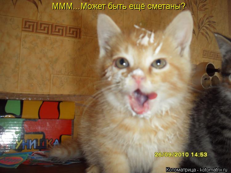 МММ...Может быть ещё сметаны?... Котоматрица: МММ...Может быть ещё сметаны?