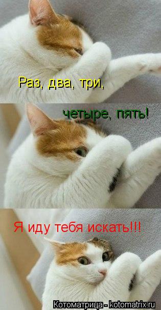 Раз, два, три, четыре, пять! Я иду тебя искать!!!... Котоматрица: Раз, два, три, четыре, пять! Я иду тебя искать!!!