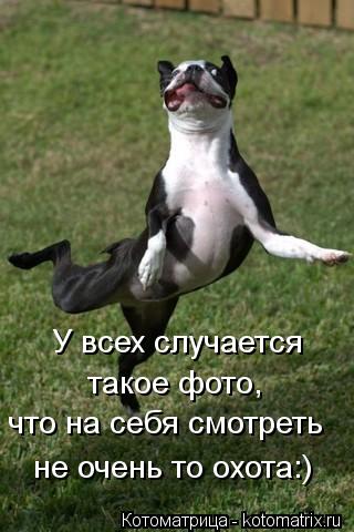 У всех случается такое фото, что на себя смотреть не очень то охота:)... Котоматрица: У всех случается такое фото, что на себя смотреть не очень то охота:)