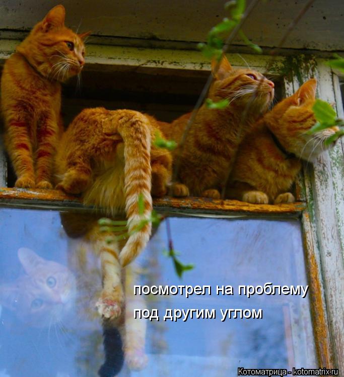 посмотрел на проблему под другим углом... Котоматрица: посмотрел на проблему под другим углом