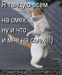 Я танцую всем на смех.... ну и что и мне на смех!!!)... Котоматрица: Я танцую всем на смех.... ну и что и мне на смех!!!)