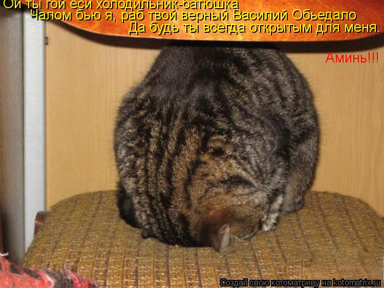 Ой ты гой еси холодильник-батюшка Чалом бью я, раб твой верный Василий Обьедало Да будь ты всегда отк... Котоматрица: Ой ты гой еси холодильник-батюшка Чалом бью я, раб твой верный Василий Обьедало Да будь ты всегда открытым для меня. Аминь!!!