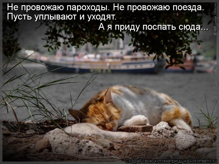 Не провожаю пароходы. Не провожаю поезда. Пусть уплывают и уходят. А я приду поспать сюда...... Котоматрица: Не провожаю пароходы. Не провожаю поезда. Пусть уплывают и уходят. А я приду поспать сюда...