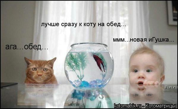ага...обед... ммм...новая иГушка... лучше сразу к коту на обед...... Котоматрица: ага...обед... ммм...новая иГушка... лучше сразу к коту на обед...