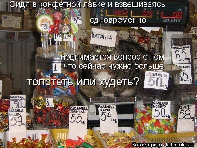 Сидя в конфетной лавке и взвешиваясь одновременно поднимается вопрос о том, что сейчас нужно больше: ... Котоматрица: Сидя в конфетной лавке и взвешиваясь одновременно поднимается вопрос о том, что сейчас нужно больше: толстеть или худеть?