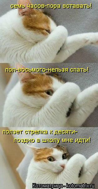 семь часов-пора вставать! пол-восьмого-нельзя спать! ползет стрелка к десяти- поздно в школу мне идти... Котоматрица: семь часов-пора вставать! пол-восьмого-нельзя спать! ползет стрелка к десяти- поздно в школу мне идти!
