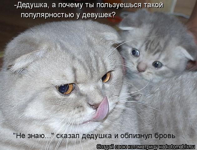 -Дедушка, а почему ты пользуешься такой популярностью у девушек? "Не знаю..." сказал дедушка и облизн... Котоматрица: -Дедушка, а почему ты пользуешься такой популярностью у девушек? "Не знаю..." сказал дедушка и облизнул бровь