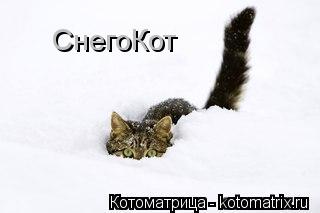 СнегоКот... Котоматрица: СнегоКот