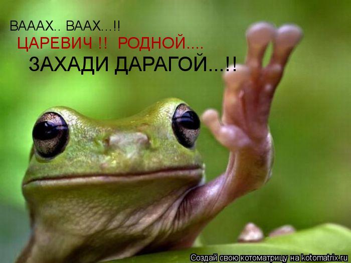ВАААХ.. ВААХ...!! ЦАРЕВИЧ !! РОДНОЙ.... ЗАХАДИ ДАРАГОЙ...!!... Котоматрица: ВАААХ.. ВААХ...!! ЦАРЕВИЧ !! РОДНОЙ.... ЗАХАДИ ДАРАГОЙ...!!