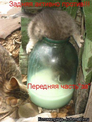 Котоматрица: Передняя часть"за" Задняя активно против!!!