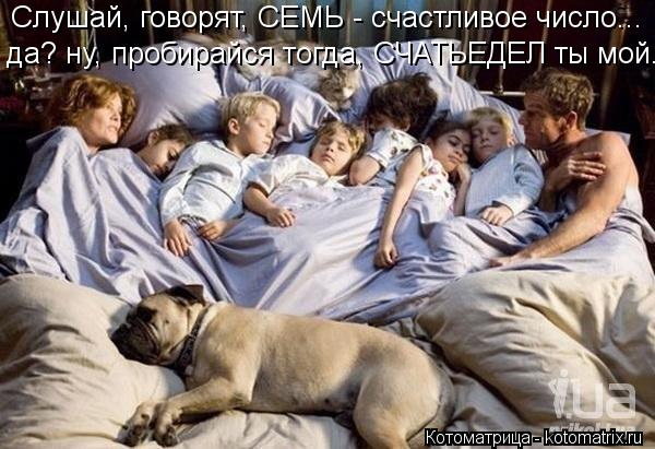 Котоматрица: Слушай, говорят, СЕМЬ - счастливое число... да? ну, пробирайся тогда, СЧАТЬЕДЕЛ ты мой...