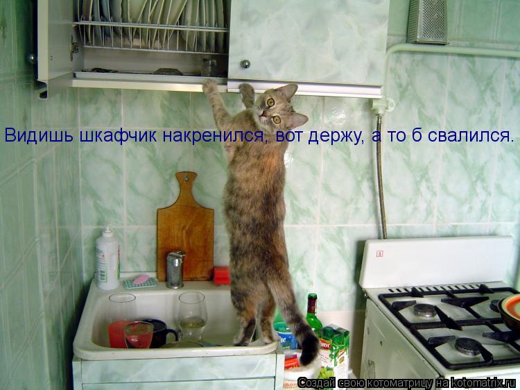 Котоматрица: Видишь шкафчик накренился, вот держу, а то б свалился.