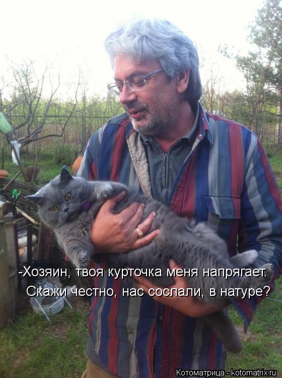 Котоматрица: -Хозяин, твоя курточка меня напрягает. Скажи честно, нас сослали, в натуре?