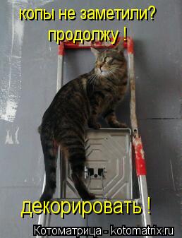 Котоматрица: копы не заметили? продолжу ! декорировать !