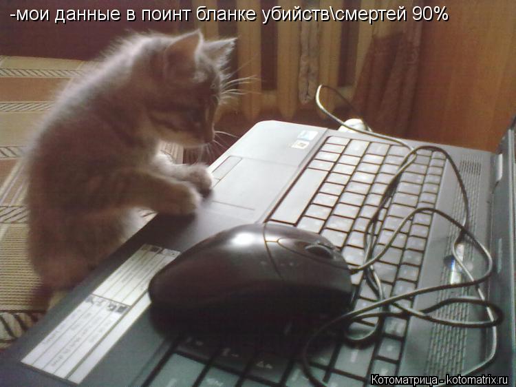 -мои данные в поинт бланке убийств\смертей 90%... Котоматрица: -мои данные в поинт бланке убийств\смертей 90%