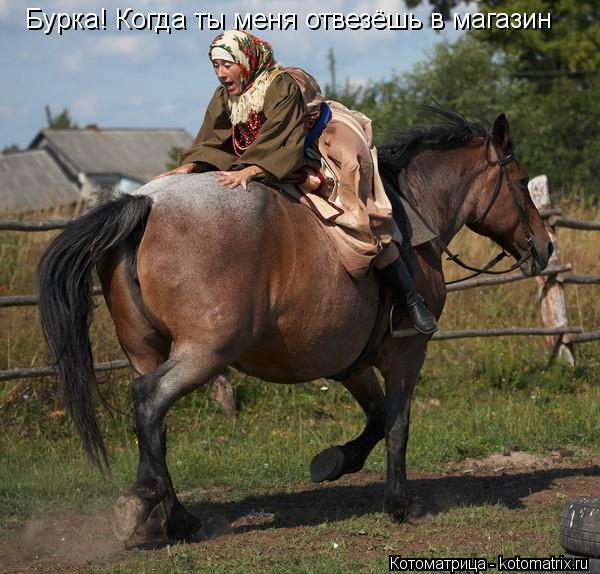 Котоматрица: Бурка! Когда ты меня отвезёшь в магазин