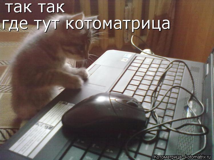 так так где тут котоматрица... Котоматрица: так так где тут котоматрица