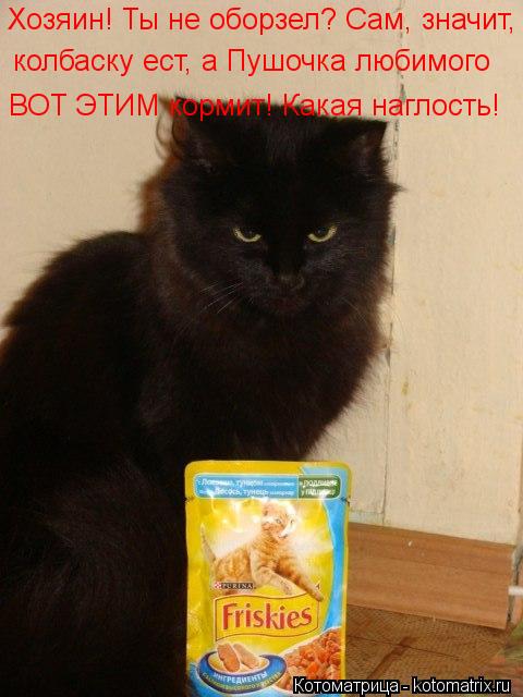 Котоматрица: Хозяин! Ты не оборзел? Сам, значит, колбаску ест, а Пушочка любимого ВОТ ЭТИМ кормит! Какая наглость!