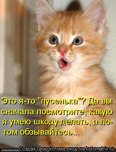 Это я-то "пусенька"? Да вы сначала посмотрите, какую я умею шкоду делать, а по- том обзывайтесь...... Котоматрица: Это я-то "пусенька"? Да вы сначала посмотрите, какую я умею шкоду делать, а по- том обзывайтесь...