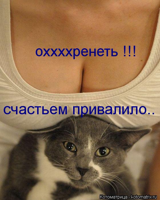 оххххренеть !!! счастьем привалило..... Котоматрица: оххххренеть !!! счастьем привалило..