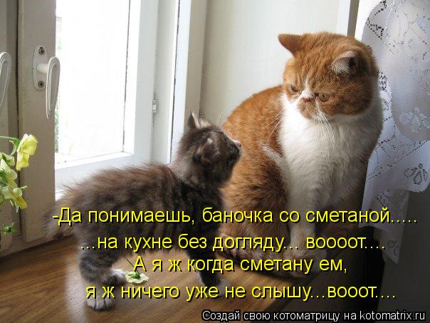 -Да понимаешь, баночка со сметаной..... ...на кухне без догляду... воооот.... А я ж когда сметану ем,... Котоматрица: -Да понимаешь, баночка со сметаной..... ...на кухне без догляду... воооот.... А я ж когда сметану ем, я ж ничего уже не слышу...вооот....