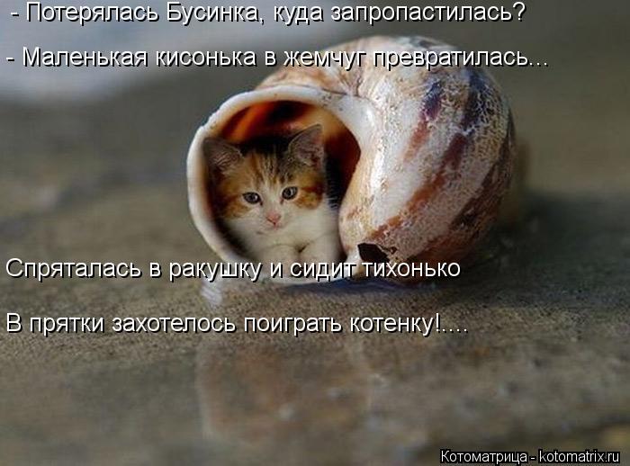 - Потерялась Бусинка, куда запропастилась? - Маленькая кисонька в жемчуг превратилась….. Спряталась в... Котоматрица: - Потерялась Бусинка, куда запропастилась? - Маленькая кисонька в жемчуг превратилась….. Спряталась в ракушку и сидит тихонько В прятки зах