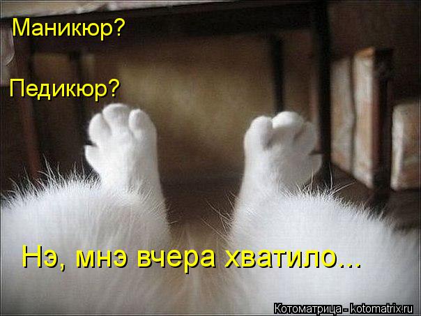 Маникюр? Нэ, мнэ вчера хватило... Педикюр?... Котоматрица: Маникюр? Нэ, мнэ вчера хватило... Педикюр?
