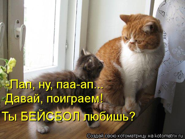 -Пап, ну, паа-ап... Давай, поиграем! Ты БЕЙСБОЛ любишь?... Котоматрица: -Пап, ну, паа-ап... Давай, поиграем! Ты БЕЙСБОЛ любишь?