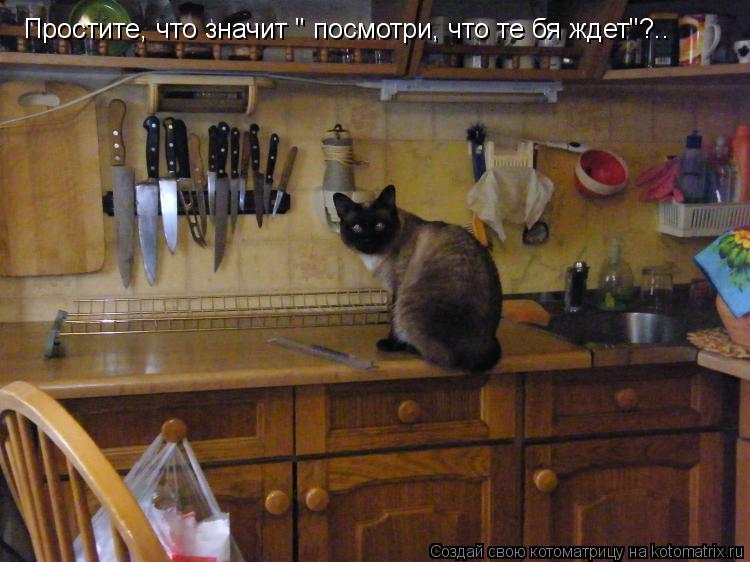 Простите, что значит " посмотри, что те бя ждет"?..... Котоматрица: Простите, что значит " посмотри, что те бя ждет"?..