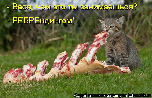 - Вася, чем это ты занимаешься? - РЕБРЕндингом!... Котоматрица: - Вася, чем это ты занимаешься? - РЕБРЕндингом!