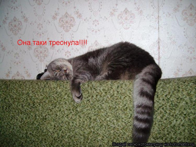 Котоматрица: Она таки треснула!!!!