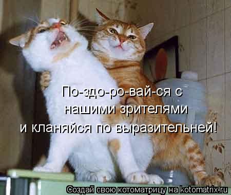 По-здо-ро-вай-ся с нашими зрителями и кланяйся по выразительней!... Котоматрица: По-здо-ро-вай-ся с нашими зрителями и кланяйся по выразительней!