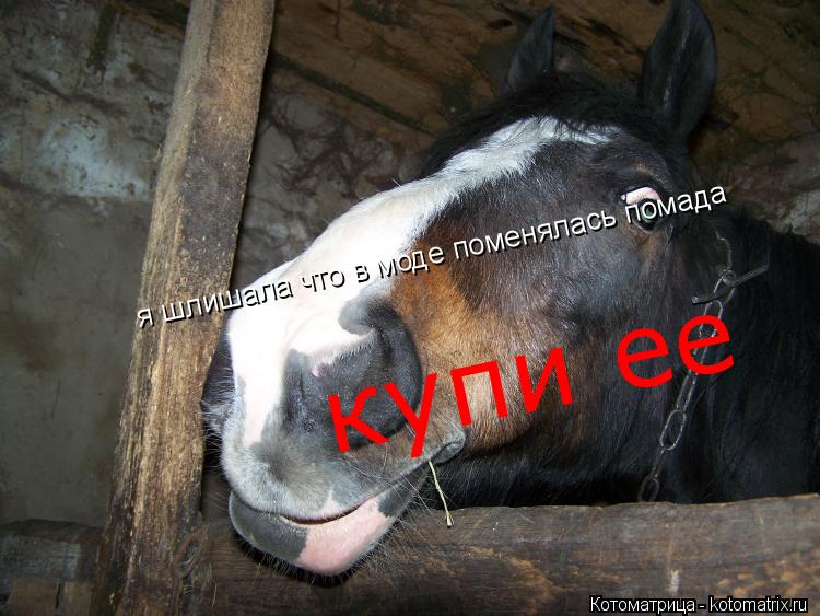я шлишала что в моде поменялась помада купи ее... Котоматрица: я шлишала что в моде поменялась помада купи ее