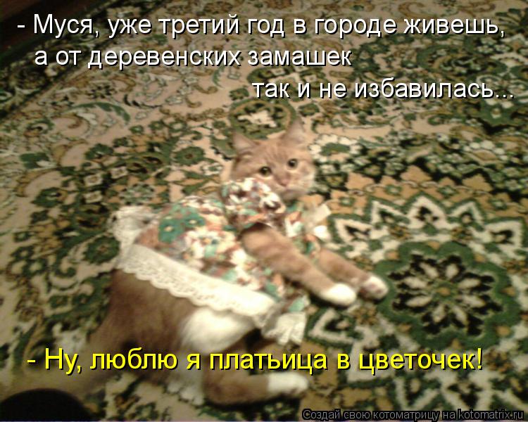 - Муся, уже третий год в городе живешь, а от деревенских замашек так и не избавилась... - Ну, люблю я... Котоматрица: - Муся, уже третий год в городе живешь, а от деревенских замашек так и не избавилась... - Ну, люблю я платьица в цветочек!