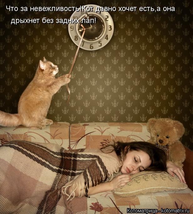 Что за невежливость!Кот давно хочет есть,а она дрыхнет без задних лап!... Котоматрица: Что за невежливость!Кот давно хочет есть,а она дрыхнет без задних лап!
