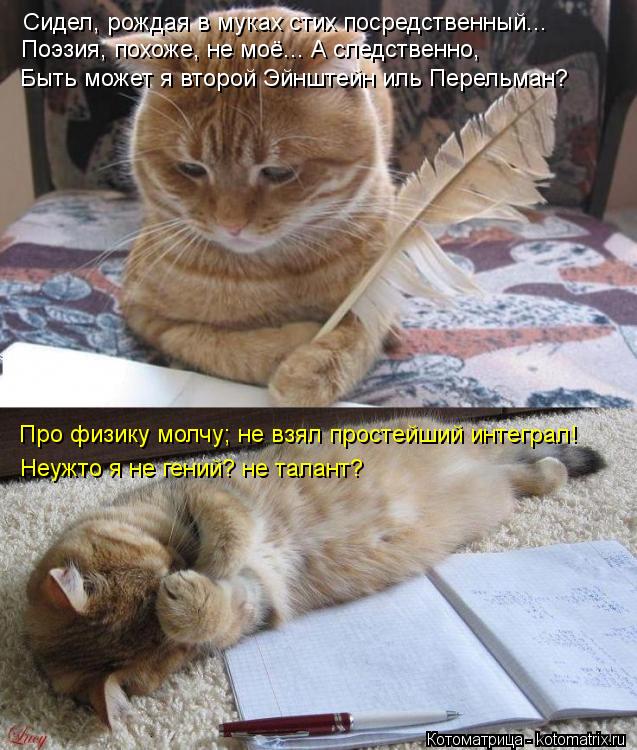 Сидел, рождая в муках стих посредственный... Поэзия, похоже, не моё... А следственно, Быть может я вт... Котоматрица: Сидел, рождая в муках стих посредственный... Поэзия, похоже, не моё... А следственно, Быть может я второй Эйнштейн иль Перельман? Про физику мо