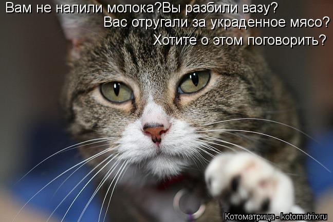 Котоматрица: Вам не налили молока?Вы разбили вазу? Вас отругали за украденное мясо? Хотите о этом поговорить?