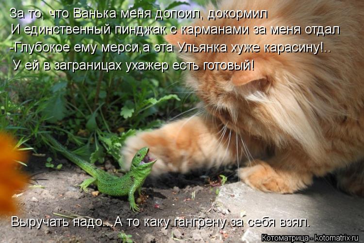 Котоматрица: За то, что Ванька меня допоил, докормил  И единственный пинджак с карманами за меня отдал -Глубокое ему мерси,а эта Ульянка хуже карасину!.. У 