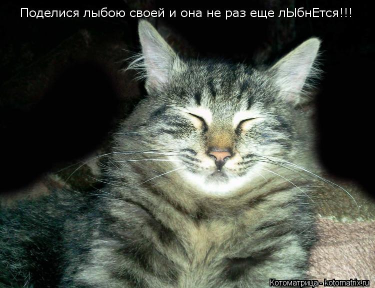 Котоматрица: Поделися лыбою своей и она не раз еще лЫбнЕтся!!!