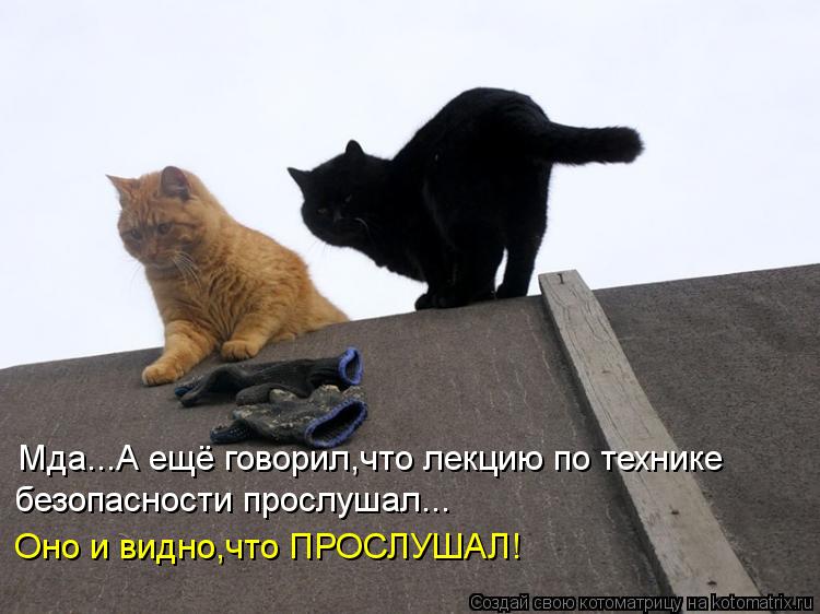 Мда...А ещё говорил,что лекцию по технике безопасности прослушал... Оно и видно,что ПРОСЛУШАЛ!... Котоматрица: Мда...А ещё говорил,что лекцию по технике безопасности прослушал... Оно и видно,что ПРОСЛУШАЛ!