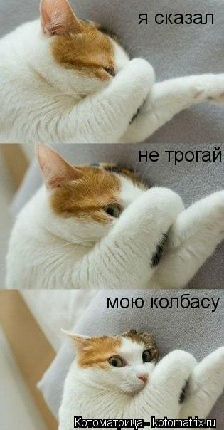 я сказал не трогай мою колбасу... Котоматрица: я сказал не трогай мою колбасу