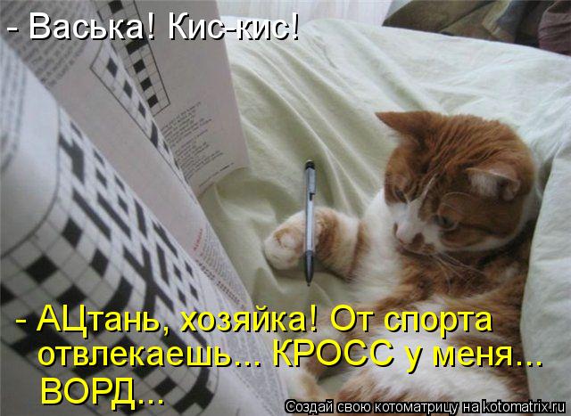 Котоматрица: - Васька! Кис-кис! - АЦтань, хозяйка! От спорта  отвлекаешь... КРОСС у меня... ВОРД...