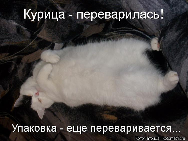 Курица - переварилась! Упаковка - еще переваривается...... Котоматрица: Курица - переварилась! Упаковка - еще переваривается...