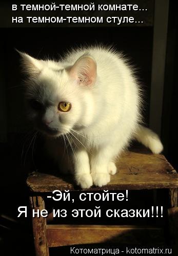 в темной-темной комнате... на темном-темном стуле... -Эй, стойте! Я не из этой сказки!!!... Котоматрица: в темной-темной комнате... на темном-темном стуле... -Эй, стойте! Я не из этой сказки!!!